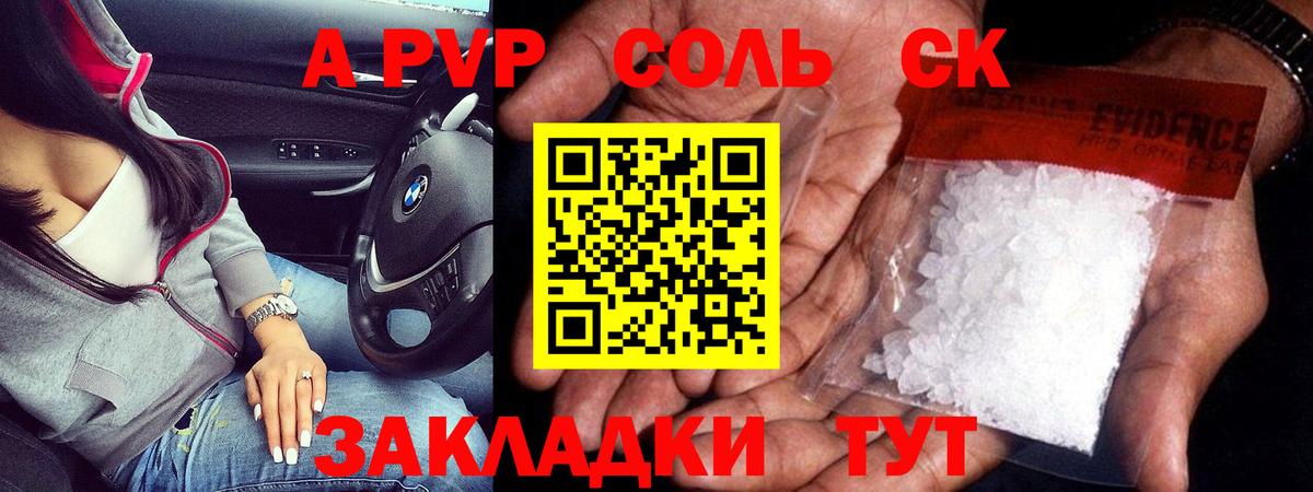 A-PVP СК Бийск