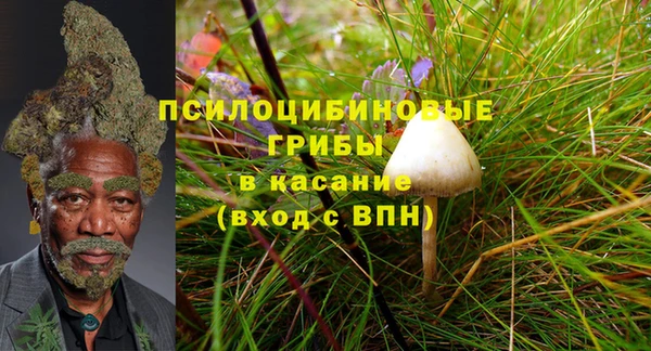не бодяженный Алексин