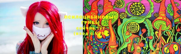 прущие крисы Алзамай