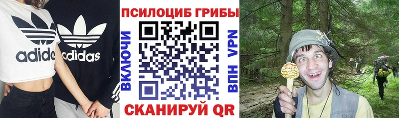 Псилоцибиновые грибы MAGIC MUSHROOMS  blacksprut ССЫЛКА  Бийск  наркотики 