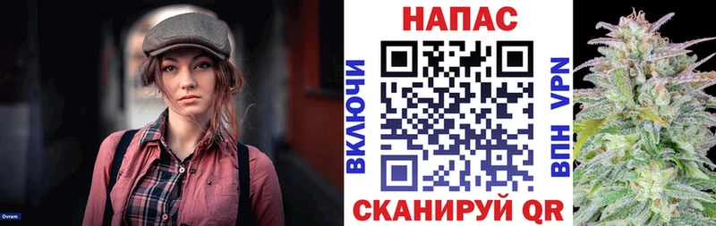 цены наркотик Бийск Бошки марихуана сатива